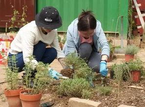 郑州花园吃瓜事件,一场引发热议的邻里冲突