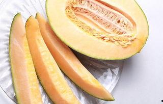 低头吃哈密瓜,哈密瓜的甜蜜诱惑