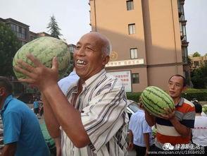 吃瓜现场合集,盘点娱乐圈那些令人捧腹的瞬间