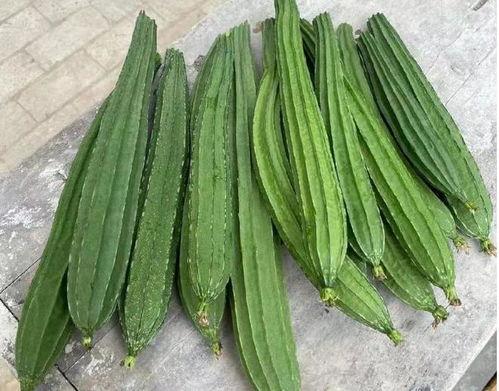 色瓜怎么吃,解锁夏日清新美味