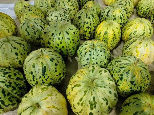 瓜甜怎么吃才不甜,吃法大揭秘！