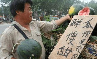 瓜卖完了还没吃,卖完的瓜，未尝的甘甜