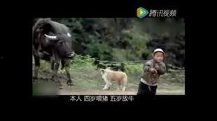 吃瓜爆笑段子大全,瓜田里的欢乐时光