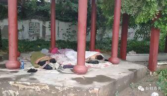 吃瓜群凉亭视频,揭秘网络热议背后的真相