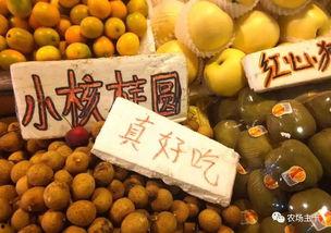 吃瓜仔多的文案