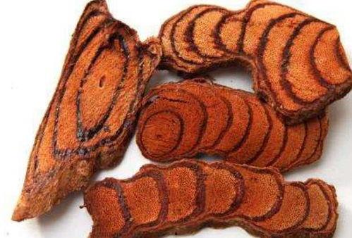 酷妮鸡血藤吃瓜,揭秘网红植物背后的吃瓜故事