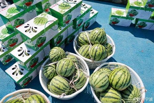 乐岛吃瓜,揭秘娱乐圈背后的那些事儿