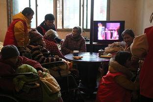 邵阳学院院长吃瓜,一场校园风波背后的真相揭晓