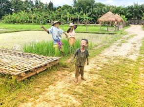 清迈陪读吃瓜,一场别开生面的“吃瓜”之旅