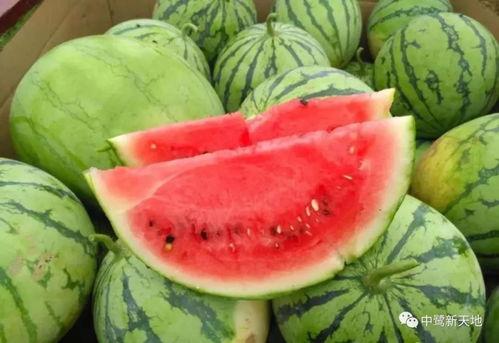 今天吃瓜图文,揭秘娱乐圈最新热点事件