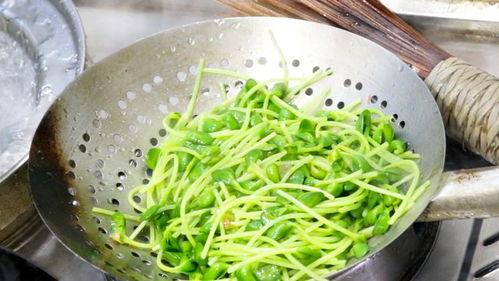 瓜芽菜可以吃吗,美味还是禁忌？探究其食用安全与营养价值