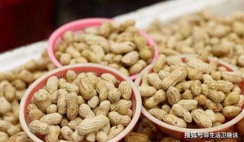 啥动物吃花生瓜孑,探寻生态链中的神秘动物