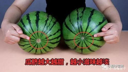 吃瓜系统在手天下