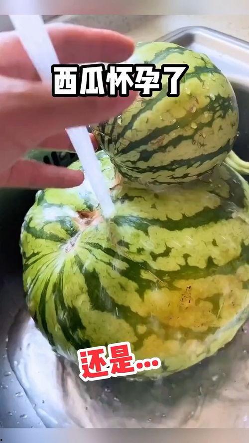 最新搞笑吃瓜视频,笑到肚子疼！