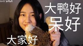吃瓜群众李木子,揭秘娱乐圈幕后故事