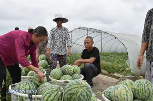 柏林吃瓜,吃瓜群众的热议焦点
