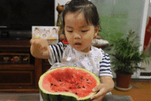 夏天孩子吃瓜群众,夏日儿童瓜果盛宴