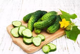 一瓜未完可以吃吗,探索瓜类美食的无限可能