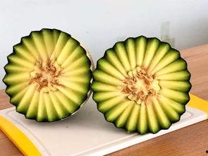 网纹瓜吃货,揭秘美味背后的秘密