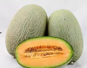 网纹瓜吃货,揭秘美味背后的秘密