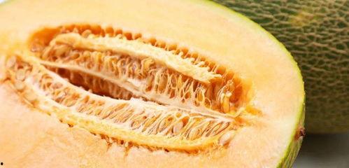 网纹瓜吃货,揭秘美味背后的秘密