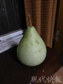 吃瓜爆料盐城,吃瓜爆料，揭秘背后真相