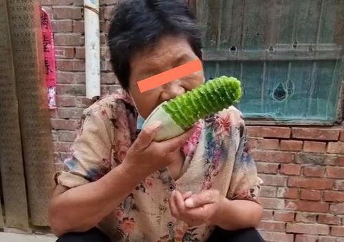 石家庄儿媳吃瓜,揭秘家庭纷争背后的真相