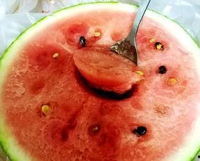 你喜欢吃脆瓜还是沙瓜,脆瓜与沙瓜的味蕾对决