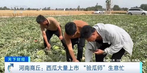 吃瓜前线111,揭秘娱乐圈最新热点事件