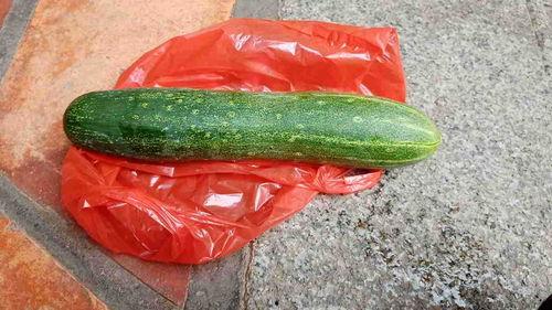 瓜和什么可以吃,搭配多样，探索无尽美食之旅