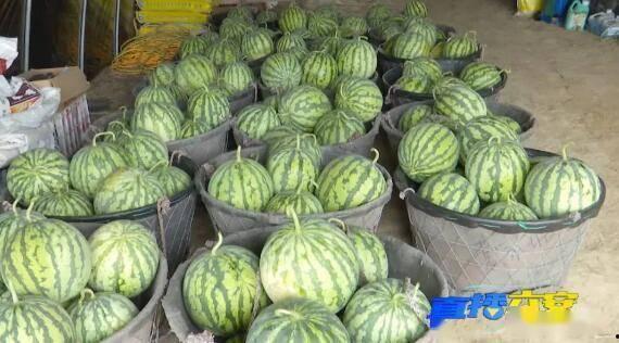 无锡本地吃瓜,一网打尽本地美食风情