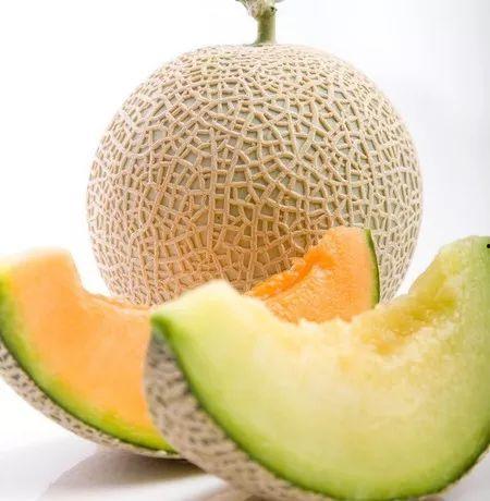 小僵尸吃哈密瓜,小僵尸的哈密瓜大冒险