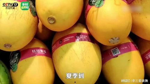 吃蜜瓜会过敏,揭秘甜蜜背后的风险与应对策略