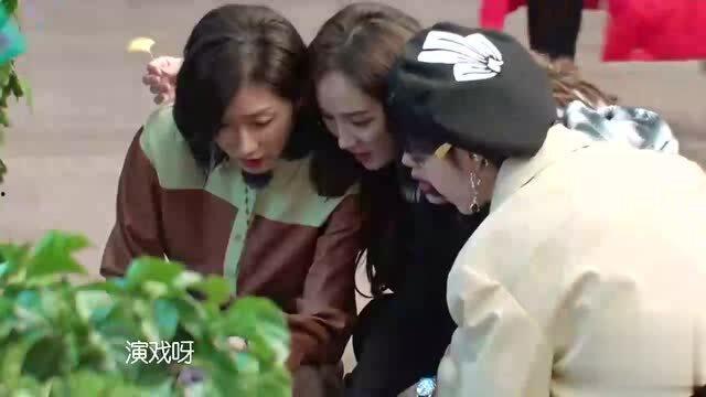 姐妹团吃瓜,娱乐圈幕后故事全解析