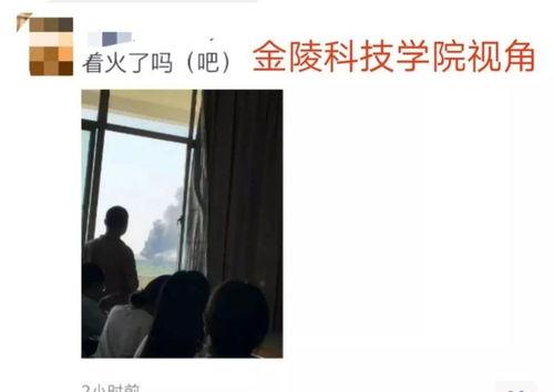南京学校吃瓜事件,校园风波背后的真相与反思