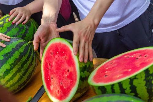 南京学校吃瓜事件,校园风波背后的真相与反思