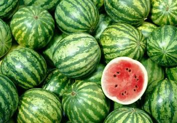 桥头吃瓜的,揭秘网络热词背后的文化现象