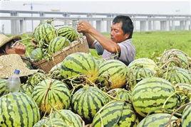 宜昌本地吃瓜新闻,本地吃瓜新闻引爆网络