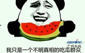 吃瓜合集情报处,揭秘娱乐圈幕后真相