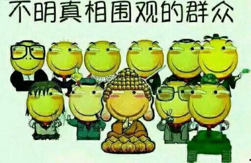 吃瓜的傻蛋,吃瓜群众傻蛋的趣味观察日记