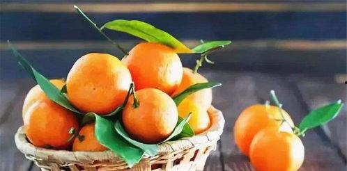 发点瓜吃橘子,品味生活，共享美好——发点瓜吃橘子的甜蜜时光