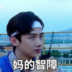 白敬亭吃瓜群众表情包,萌态可掬引网友热议