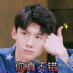 白敬亭吃瓜群众表情包,萌态可掬引网友热议