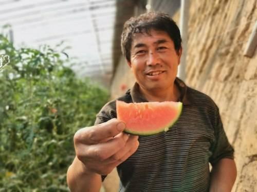 吃瓜群众王小可简介,吃瓜群众的趣味人生