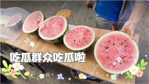 夏天味道吃瓜群众,吃瓜群众共享清凉滋味