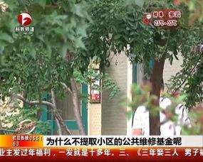 吃瓜小区广告,揭秘邻里间的欢乐与秘密