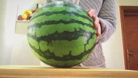 吃西瓜籽的瓜叫什么瓜