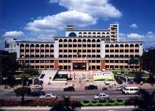 深圳宝安中学吃瓜,校园吃瓜文化背后的故事