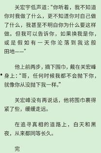 吃瓜追凶小说,一场吃瓜群众的追凶之旅