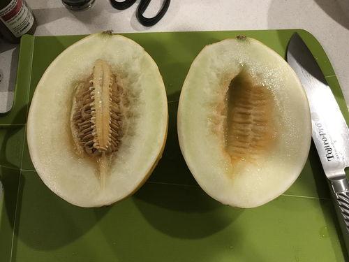 好日子的吃瓜,探寻美味生活的秘密